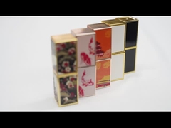 OEM Buizen van de de Containerslippenstift van de Douane de Lege Lipgloss met Groothandelsprijs